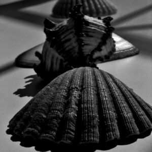 Sculpture